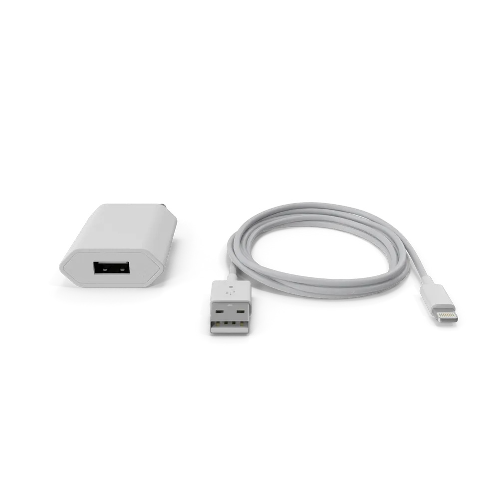 Apple iPhone Charger